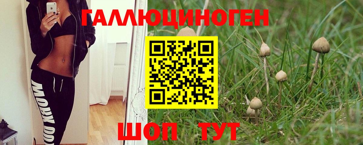 Биробиджан  Галлюциногенные грибы Magic Shrooms  Вход с VPN  Галлюциногенные грибы MAGIC MUSHROOMS 